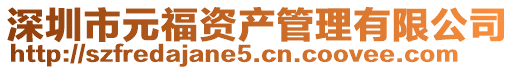 深圳市元福資產(chǎn)管理有限公司
