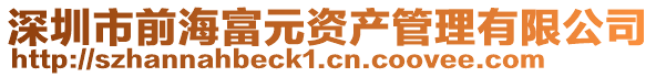 深圳市前海富元資產(chǎn)管理有限公司