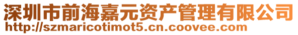 深圳市前海嘉元資產管理有限公司