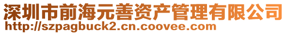 深圳市前海元善資產管理有限公司