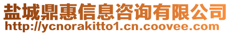 鹽城鼎惠信息咨詢有限公司