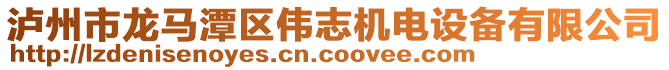 瀘州市龍馬潭區偉志機電設備有限公司
