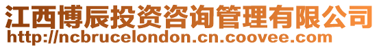 江西博辰投資咨詢管理有限公司