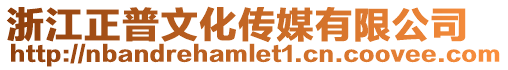 浙江正普文化傳媒有限公司