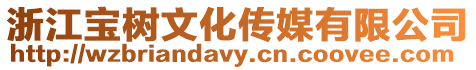 浙江寶樹文化傳媒有限公司