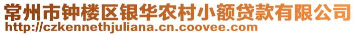 常州市鐘樓區銀華農村小額貸款有限公司