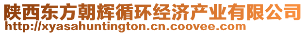 陜西東方朝輝循環(huán)經(jīng)濟產(chǎn)業(yè)有限公司