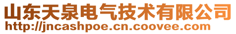 山東天泉電氣技術(shù)有限公司