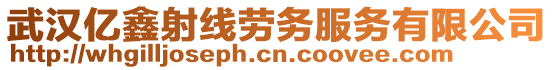 武漢億鑫射線勞務(wù)服務(wù)有限公司