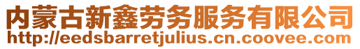 內蒙古新鑫勞務服務有限公司