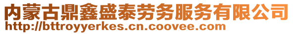 內(nèi)蒙古鼎鑫盛泰勞務(wù)服務(wù)有限公司
