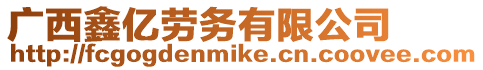 廣西鑫億勞務有限公司