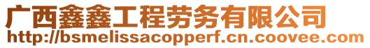 廣西鑫鑫工程勞務有限公司