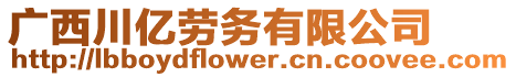 廣西川億勞務(wù)有限公司