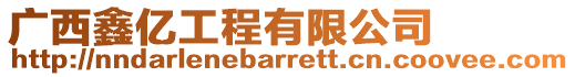 廣西鑫億工程有限公司