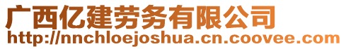 廣西億建勞務有限公司