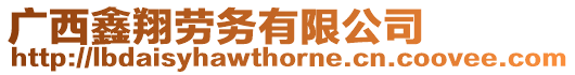 廣西鑫翔勞務(wù)有限公司