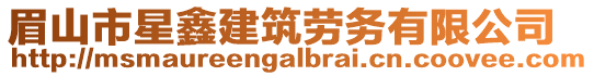 眉山市星鑫建筑勞務有限公司
