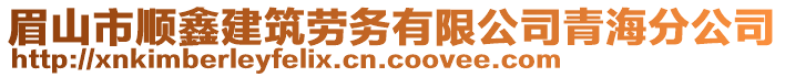 眉山市順鑫建筑勞務(wù)有限公司青海分公司
