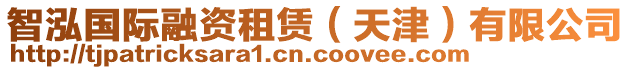 智泓國際融資租賃(天津)有限公司