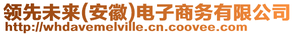 領先未來(安徽)電子商務有限公司