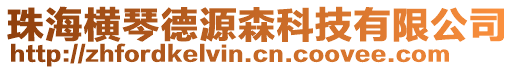 珠海橫琴德源森科技有限公司