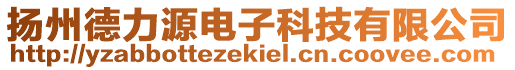 揚州德力源電子科技有限公司
