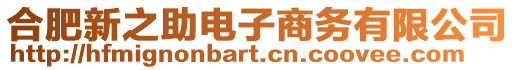 合肥新之助電子商務有限公司