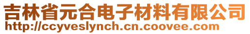 吉林省元合電子材料有限公司