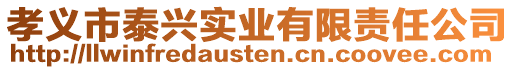 孝義市泰興實業有限責任公司