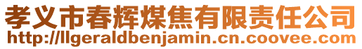 孝義市春輝煤焦有限責(zé)任公司