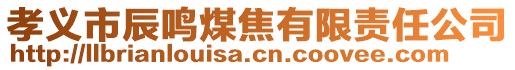 孝義市辰鳴煤焦有限責任公司