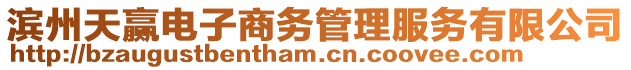 濱州天贏電子商務管理服務有限公司