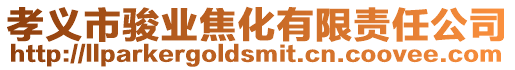 孝義市駿業焦化有限責任公司
