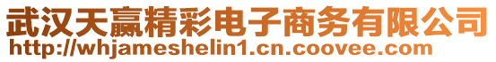 武漢天贏精彩電子商務(wù)有限公司
