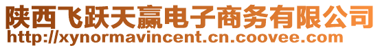陜西飛躍天贏電子商務(wù)有限公司