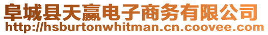 阜城縣天贏電子商務有限公司
