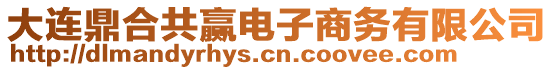 大連鼎合共贏電子商務(wù)有限公司