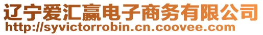 遼寧愛匯贏電子商務有限公司
