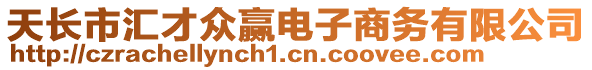 天長市匯才眾贏電子商務有限公司