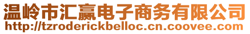 溫嶺市匯贏電子商務(wù)有限公司
