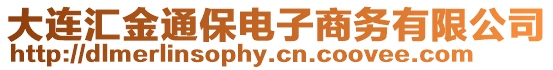 大連匯金通保電子商務(wù)有限公司