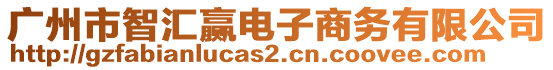 廣州市智匯贏電子商務(wù)有限公司