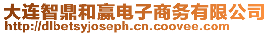 大連智鼎和贏電子商務(wù)有限公司