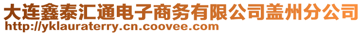 大連鑫泰匯通電子商務有限公司蓋州分公司