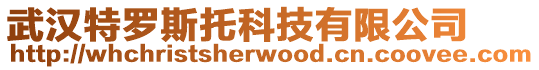 武漢特羅斯托科技有限公司