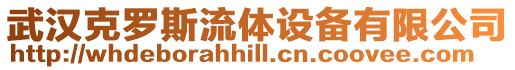武漢克羅斯流體設備有限公司