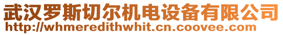 武漢羅斯切爾機(jī)電設(shè)備有限公司