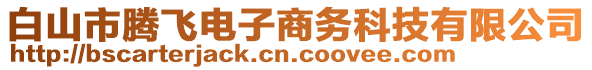 白山市騰飛電子商務(wù)科技有限公司