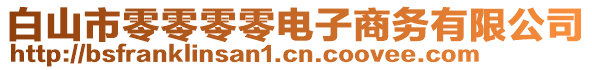 白山市零零零零電子商務(wù)有限公司